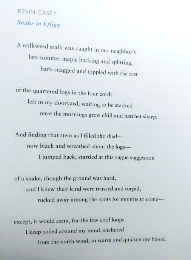 IMG_20170616_074216283-2 (1)